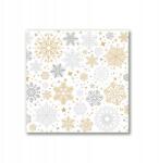 Tulup Canvas 40x40 nappaliba Hópelyhek Karácsony Tél (ock-40x40-356988981)