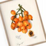  Konyhai poszter Japán Vintage A3