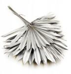 Enchanted Pálma, legyező (Palm Sun) Ezüst (PALM SUN SREBRNY)