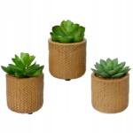 Kaemingk Műnövény zöld kicsi cserépben 10cm (sztuczna roślina)