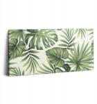 Wallfluent Vászonkép Dekoratív Edzőterem Illusztráció Levelek Monstery (010030010010000274350)