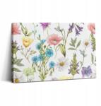 Wallfluent Fotó Vászonkép Falra Nappaliba Virágos Illusztráció Virágmező (010030010150000045724)