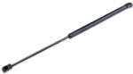 MTR Amortizor capota MTR 12161342 (12161342) - automobilus