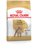 Royal Canin Canine Poodle száraztáp 1, 5kg lejárat közeli - vetpluspatika