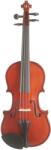 Pierre Marin Violin Amadeus, komplet (AV18)