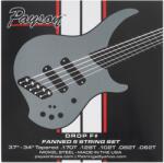 Payson Fanned NS 5 Drop F#