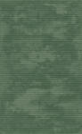 Berfin Eforia 9551 Zöld 80x150 cm Modern Szőnyeg