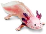 Safari Ltd Safari® Axolotl mexican (S104650) Figurina
