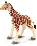 Safari Ltd Safari® Pui de girafă (S100422) Figurina