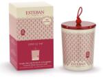 Estéban lumanare aromata Esprit de thé 180 g 99KK-ZAU0IR_MLC (THE.070)