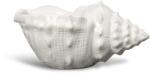 Byon castron Awa S 99KK-KBU49H_00X (5260919503) Tava