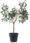 House Nordic plantă artificială în ghiveci Olive Tree 99KK-DRU0A8_79X (9501002)