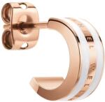 Daniel Wellington cercei 99KK-AKD4EY_GLD (DW00400148)