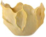 Bloomingville bol decorativ Bastien 99KK-SEU00D_11X (82061354) Castron