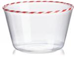 IVV set de boluri 450 ml 4-pack 99KK-ZSU07C_TSP (8936.1) Castron