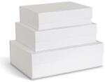 Bigso Box of Sweden set de cutii de depozitare 3-pack 99KK-OPU05F_00X (123345533.99)