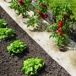 Nortene 100% természetes, lebomló talajtakaró, Chanvrelin 500 g/m2 kender és juta (0.5 x 3 m) (2016659)
