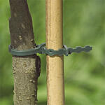 NORTENE Fix 17 műanyag kötöző, 17 cm hosszú, zöld színű (40 darab) (147031)