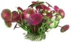 Acvariu plantă artificială frunze în formă de scut și fluture 11 cm