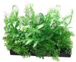 Plantă artificială de acvariu cu frunze care își schimbă culoarea din verde în alb (10 cm)