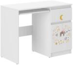 Wooden Toys Ifjúsági Íróasztal N33 - Macsek