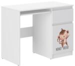 Wooden Toys Ifjúsági Íróasztal N33 - Majom