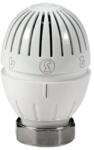 Giacomini R470H termosztatikus fej folyadékérzékelővel, M30x1, 5 (R470HX001) (R470HX001)