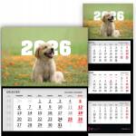  Háromrészes Naptár 2026-re Irodai Falra szerelhető Kiskutya Mix Wz (Kalendarz 2026 RokZ Szczeniaczkiem Wz)