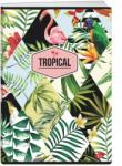 Elisa Füzet A4 60 K kockás Tropical WZ6 Elisa (3830057068374)