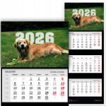  Háromrészes Naptár 2026 Irodai Év Falra szerelhető Golden Retriever Mix Wz (Kalendarz 2026 RokGolden Retriever Wz)