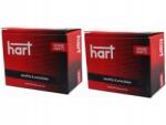 Hart Audi A5 8T 1.8-3.2 08-17, 8F 1.8-3.2 11-17, A4 B8 1.8-3.2 07-16 Féktárcsák