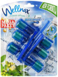 Wellnax Breeze Refresh Blue Hygiene WC frissítő 3X50g - Eukaliptusz