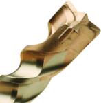 Rawlplug fúrószár vasbetonhoz 20 x 460 mm SDS-Plus (612825)