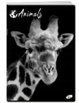 Elisa Füzet A5 60 K Animals Vonal Elisa Zsiráf (3830003694220)