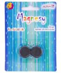Aliga Hűtőmágnesek 20mm x 4 mm 10 db (MAG-3427)