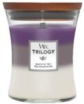 WoodWick Trilogy Amethyst Sky Közepes Üveg