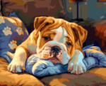 Alkotásutca Álmos bulldog - Számfestő készlet kereten 40x50