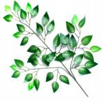 RAV Mesterséges levelek fikusz Benjamin 60 cm nád virág kompozíciók (GIRLA-nda)