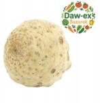  Zeller Gyökér 1KG Aromás És Egészséges (254621)