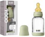 BIBS Újszülött cumisüveg Bibs Antikolt 120ml Sage üveg szuper biztonságos (5019250)