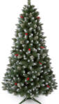 BraziCraciun. net Brad Artificial de Craciun Lermoos 220 cm (PA-LER-PVC-220)
