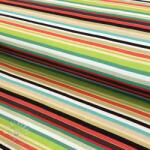  Jersey Great big farm green stripe digital print