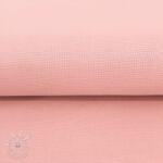  CANVAS rose