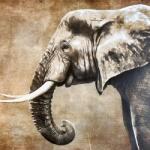  Műbőr KARIA Elephant PANEL