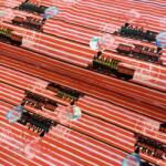  Jersey Sky Train in line digital print