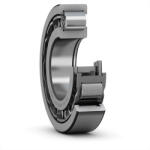 SKF Nup 313 Ecj Skf
