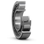 SKF Nu 213 Ecj/c3 Skf