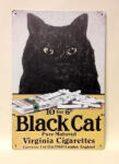  fém kép : balck cat