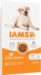 Iams For Vitality Hrana uscata cu pui pentru cainii adulti de talie mare 5kg