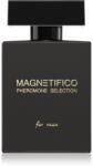 VALAVANI Magnetifico Pheromone Selection parfum cu feromoni pentru barbati 100 ml